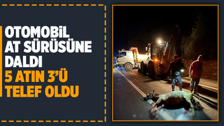 Otomobil at sürüsüne daldı