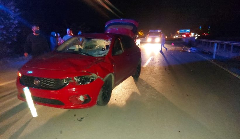 Otomobil ata çarptı