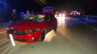 Otomobil ata çarptı