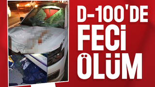 Otomobil çarptı, feci şekilde öldü