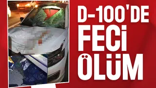 Otomobil çarptı, feci şekilde öldü