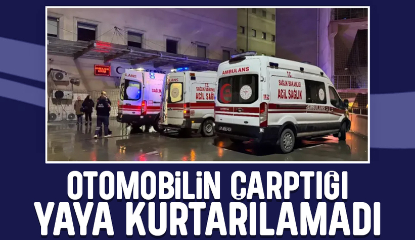 Otomobil çarptı, hayatını kaybetti