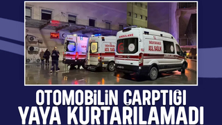 Otomobil çarptı, hayatını kaybetti