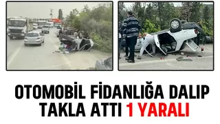 Otomobil fidanlığa daldı