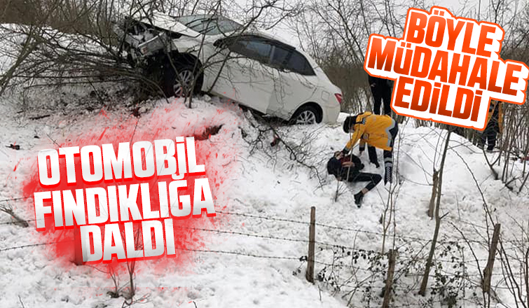 Otomobil fındıklığa daldı: 2 yaralı