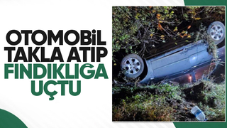 Otomobil fındıklığa uçtu