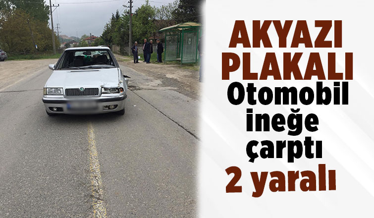 Otomobil ineğe çarptı: 2 yaralı