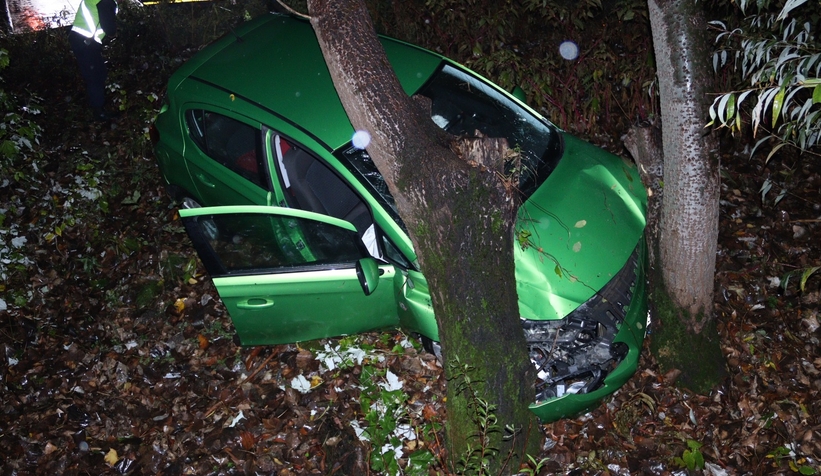 Otomobil kavaklığa uçtu: 2 yaralı