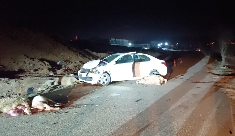 Otomobil koyun sürüsüne daldı: 1 yaralı