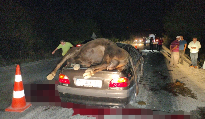 Otomobil sürüye daldı