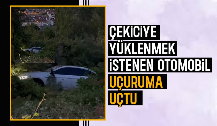 Otomobil uçuruma uçtu
