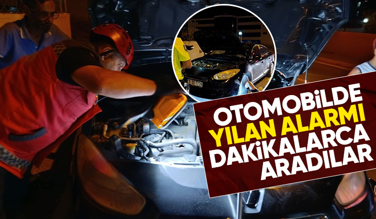 Otomobilde yılan aradılar