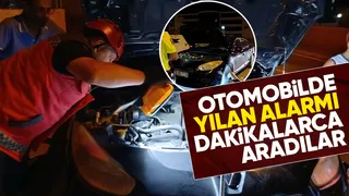 Otomobilde yılan aradılar