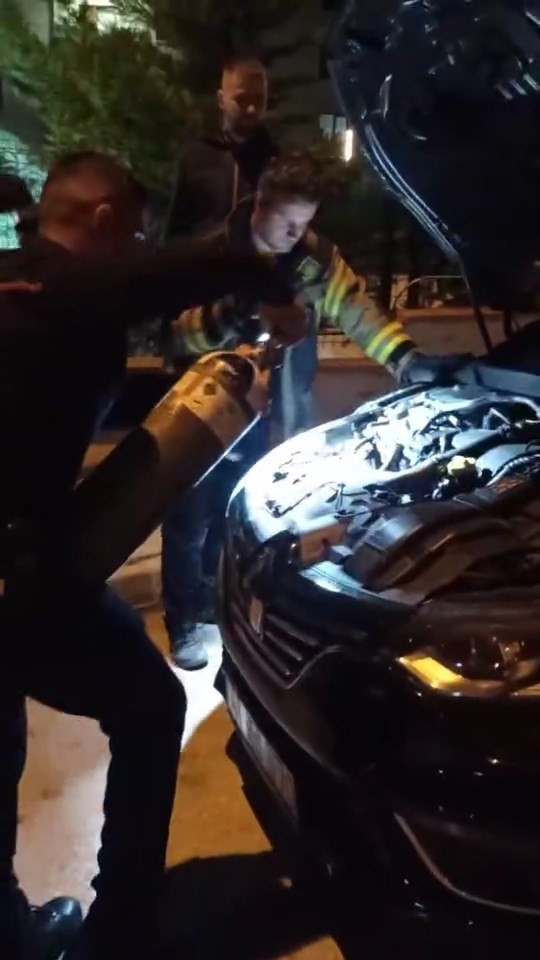 Otomobile giren yılan böyle çıktı