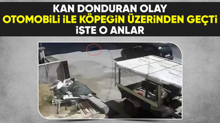 Otomobili ile köpeğin üzerinden böyle geçti