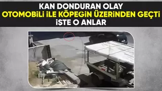 Otomobili ile köpeğin üzerinden böyle geçti