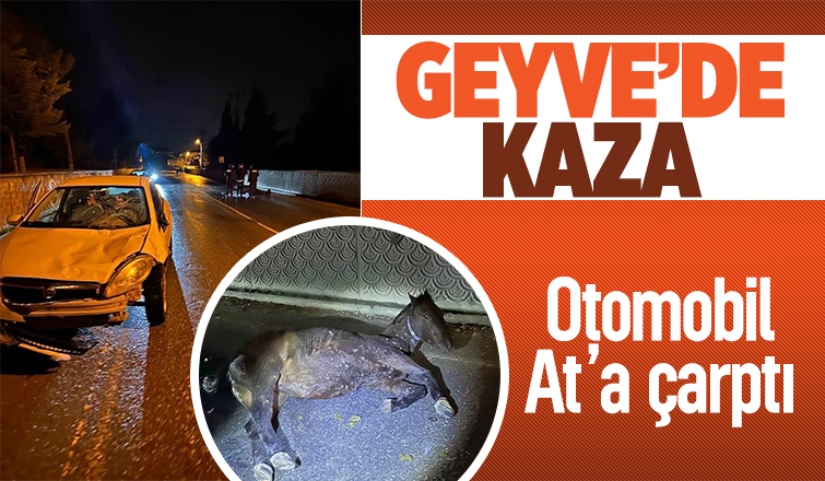  Otomobilin çarptığı at yaralandı