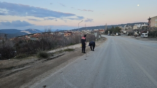 Otomobilin çarptığı kadın ağır yaralandı