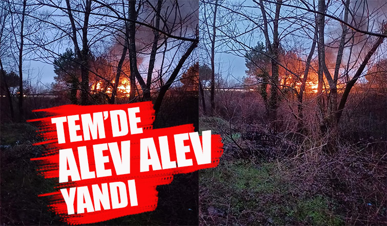 Otoyolda araç alev alev yandı