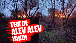 Otoyolda araç alev alev yandı