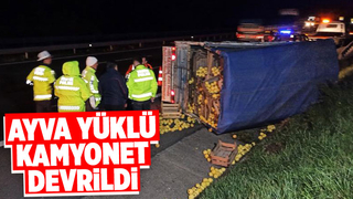 Otoyolda ayva yüklü kamyonet devrildi