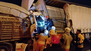 Otoyolda feci ölüm