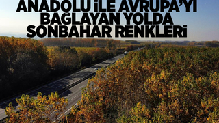 Otoyolda hız kesen manzara