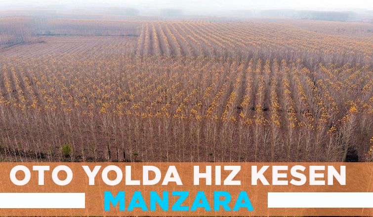 Otoyolda hız kesen manzara