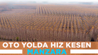 Otoyolda hız kesen manzara