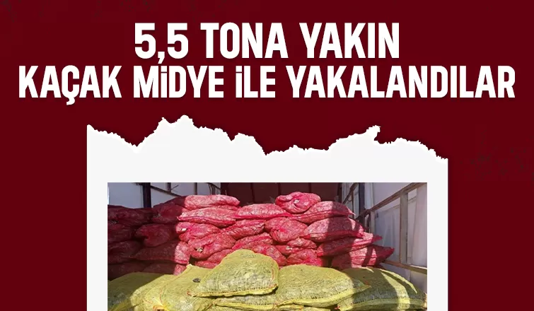 Otoyolda kaçak midye operasyonu