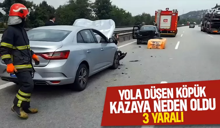 Otoyolda kaza: 3 yaralı