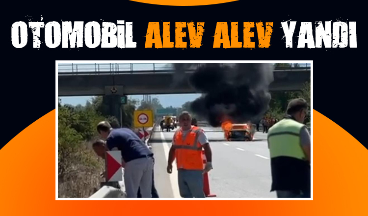 Otoyolda panik anları; Alev alev yandı