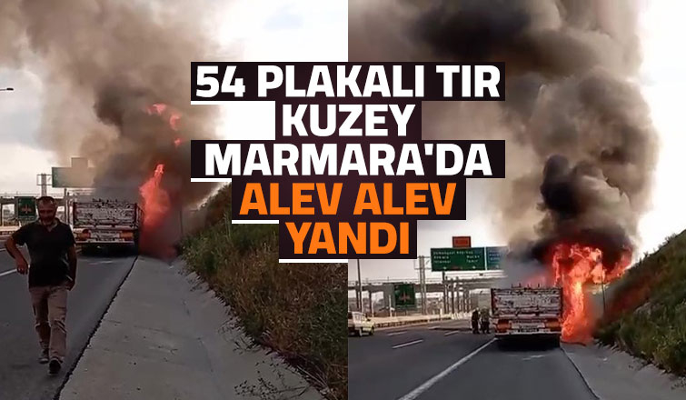  Otoyolda seyir halindeki tır alev alev yandı