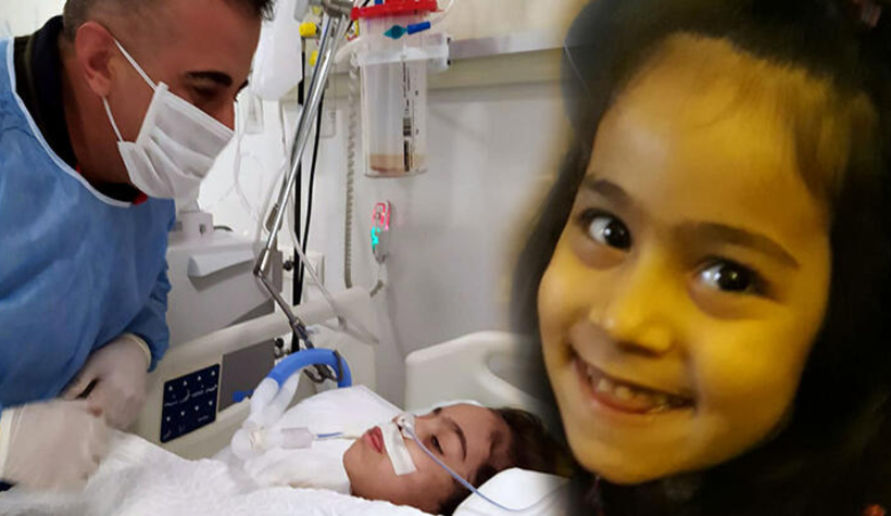 Oyun hamuru bitkisel hayata soktu