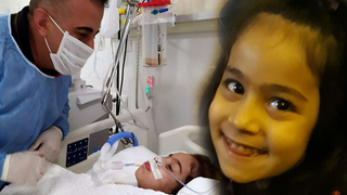 Oyun hamuru bitkisel hayata soktu