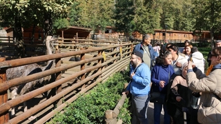 Özel bireyler doğayla iç içe bir gün geçirdi