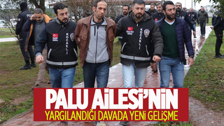 Palu ailesi ve damatlarının yargılandığı davada son celse