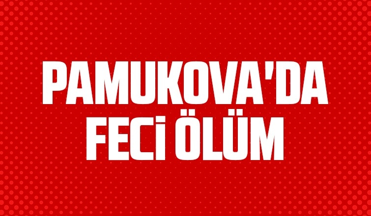 Pamukova'da feci ölüm