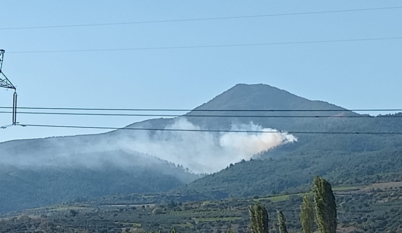 Pamukova'da orman yangını