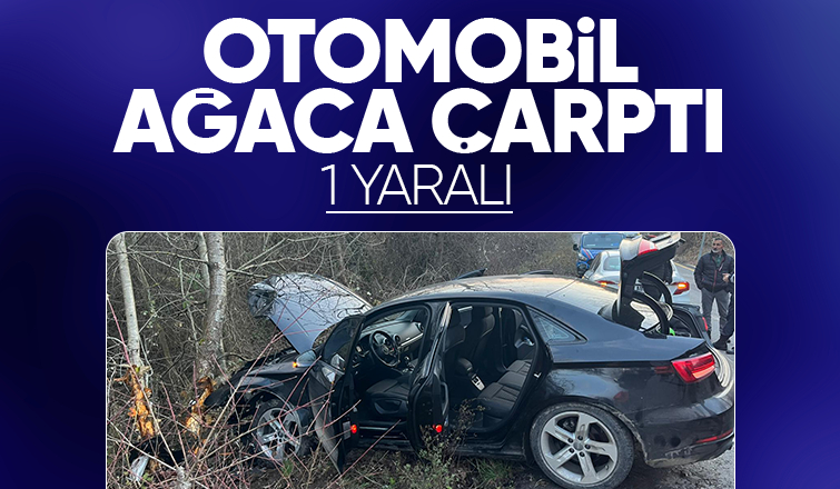 Pamukova'da otomobil ağaca çarptı