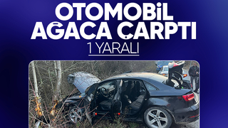 Pamukova'da otomobil ağaca çarptı