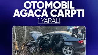 Pamukova'da otomobil ağaca çarptı