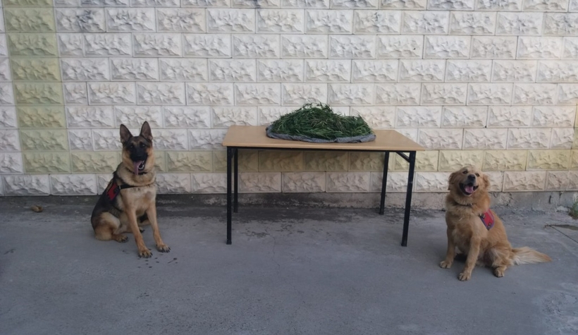 Pamukova'da uyuşturucu operasyonu