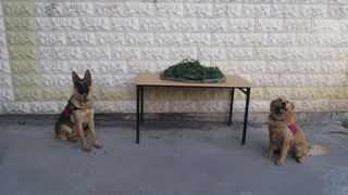 Pamukova'da uyuşturucu operasyonu