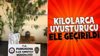 Pamukova'da uyuşturucu operasyonu