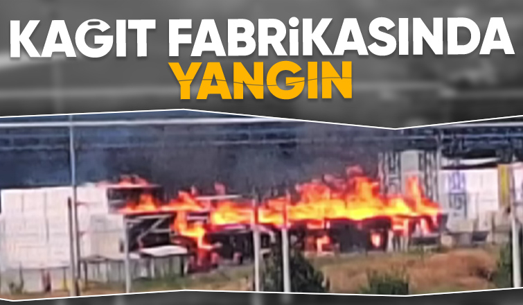 Pamukova kağıt fabrikasında yangın