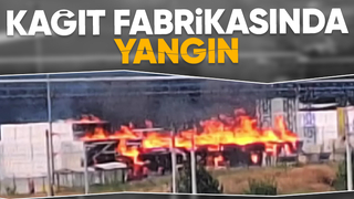 Pamukova kağıt fabrikasında yangın
