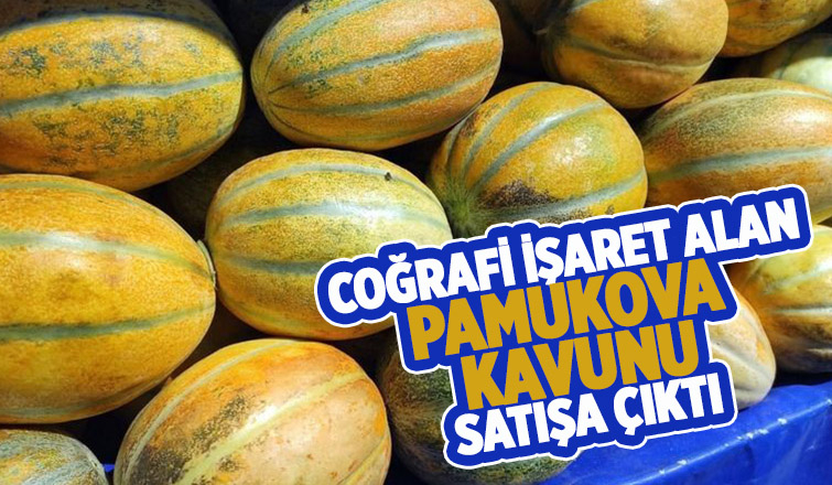 Pamukova kavunu satışa çıktı