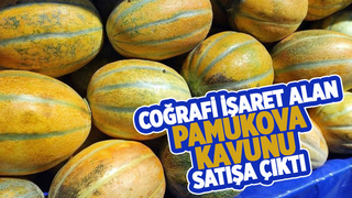 Pamukova kavunu satışa çıktı