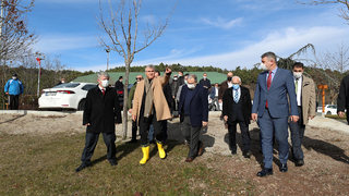 Pamukova’da çilek fideleri toprakla buluşuyor